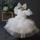 1st-birthday-baby-party-puff-sleeve-butterfly-fluffy-girl-princess-dress-AVELAPRO-47426142240939-14 1st birthday baby party puff sleeve butterfly fluffy girl princess dress