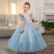 3-12-years-old-birthday-party-girls-princess-dress-wedding-puff-sleeve-embroidered-mesh-fluffy-blue-sequins-elegant-girls-evening-dress-AVELAPRO-47425808138411-04 3-12 years old birthday party girls princess dress wedding puff sleeve embroidered mesh fluffy blue sequins elegant girls evening dress