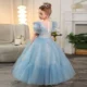 3-12-years-old-birthday-party-girls-princess-dress-wedding-puff-sleeve-embroidered-mesh-fluffy-blue-sequins-elegant-girls-evening-dress-AVELAPRO-47425808138411-05 3-12 years old birthday party girls princess dress wedding puff sleeve embroidered mesh fluffy blue sequins elegant girls evening dress