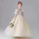 3-12-years-old-childrens-dress-rose-temperament-birthday-party-stage-performance-girl-princess-dress-AVELAPRO-47425813381291-03 3-12 years old children's dress rose temperament birthday party stage performance girl princess dress