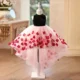 3D-Flowers-Girl-Dress-Hi-Low-Princess-Birthday-Par-AVELAPRO-52081825055023-02 3D Flowers Girl Dress Hi-Low Princess Birthday Party Gown