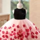 3D-Flowers-Girl-Dress-Hi-Low-Princess-Birthday-Par-AVELAPRO-52081825055023-06 3D Flowers Girl Dress Hi-Low Princess Birthday Party Gown