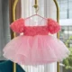 Baby-Birthday-Evening-Dress-Girls-Fashion-Rose-Flower-Puff-Sleeve-Princess-Dress-AVELAPRO-47426109309099-01 Baby Birthday Evening Dress Girls Fashion Rose Flower Puff Sleeve Princess Dress