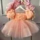 Baby-Birthday-Evening-Dress-Girls-Fashion-Rose-Flower-Puff-Sleeve-Princess-Dress-AVELAPRO-47426109309099-05 Baby Birthday Evening Dress Girls Fashion Rose Flower Puff Sleeve Princess Dress