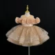 JMY301-Luxury-3D-Rose-Flower-Girl-Dress-for-Girls-AVELAPRO-48423386775779-03 Luxury 3D Rose Flower Girl Dress for Girls – Sparkle Tulle Princess Party Dress (3-8Y)