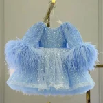 Luxury Blue Girl Dress Feathers Cap Sleeve Kid Princess