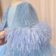 Luxury-Blue-Girl-Dress-Feathers-Cap-Sleeve-Kid-Princess-J170-AVELAPRO-50734828880175-05 Luxury Blue Girl Dress Feathers Cap Sleeve Kid Princess