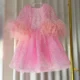 Luxury-Blue-Girl-Dress-Feathers-Cap-Sleeve-Kid-Princess-J170-AVELAPRO-50734828880175-11 Luxury Blue Girl Dress Feathers Cap Sleeve Kid Princess