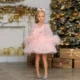 Luxury-Blue-Girl-Dress-Feathers-Cap-Sleeve-Kid-Princess-J170-AVELAPRO-50734828880175-16 Luxury Blue Girl Dress Feathers Cap Sleeve Kid Princess