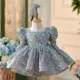 OT015-Newest-Kids-Party-Luxury-Ball-Gown-Long-Sle-AVELAPRO-45212835872995-01 Newest Kids Party Luxury Ball Gown Long Sleeved Silver Glitter Princess Party Dress Flower Girls Wedding Puffy Dresses