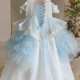Blue Princess Girl Dress Beaded Birthday Pageant Party Gow