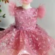 Butterfly Applique Flower Baby Girl Dress With Trailing