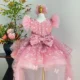 Butterfly Applique Flower Baby Girl Dress With Trailing