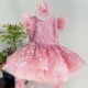 Butterfly Applique Flower Baby Girl Dress With Trailing