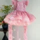 Butterfly Applique Flower Baby Girl Dress With Trailing