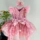 Butterfly Applique Flower Baby Girl Dress With Trailing