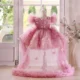 Butterfly Applique Flower Baby Girl Dress With Trailing