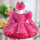 Butterfly Applique Flower Baby Girl Dress With Trailing