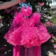 Butterfly Applique Flower Baby Girl Dress With Trailing