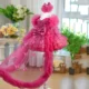 Butterfly Applique Flower Baby Girl Dress With Trailing