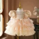 Champagne Flower Girl Dress Kids Wedding Birthday Party Holida