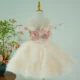 Champagne Flower Girl Dress for Girls Butterfly Applique Tulle Party Dress for Party