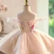 Champagne Flower Girl Dress for Girls Butterfly Applique Tulle Party Dress for Party