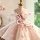 Champagne Flower Girl Dress for Girls Butterfly Applique Tulle Party Dress for Party