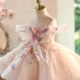 Champagne Flower Girl Dress for Girls Butterfly Applique Tulle Party Dress for Party