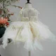 Champagne Flower Girl Dress for Girls Floral Embroidery Tulle Ball Gown for Wedding