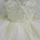 Champagne Flower Girl Dress for Girls Floral Embroidery Tulle Ball Gown for Wedding