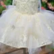 Champagne Flower Girl Dress for Girls Floral Embroidery Tulle Ball Gown for Wedding