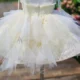 Champagne Flower Girl Dress for Girls Floral Embroidery Tulle Ball Gown for Wedding