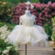 Champagne Flower Girl Dress for Girls Floral Embroidery Tulle Ball Gown for Wedding