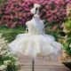 Champagne Flower Girl Dress for Girls Floral Embroidery Tulle Ball Gown for Wedding