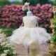 Champagne Flower Girl Dress for Girls Floral Embroidery Tulle Ball Gown for Wedding