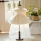 Champagne Knee Length 1st Birthday Flower Girl Dress