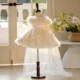 Champagne Knee Length 1st Birthday Flower Girl Dress