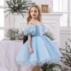 Dreamy Flower Girl Dress for Girls Satin Party Dress for Party