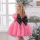 Dreamy Flower Girl Dress for Girls Satin Party Dress for Party