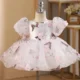 Elegant Pink Colorful 1st Birthday Girl Dress